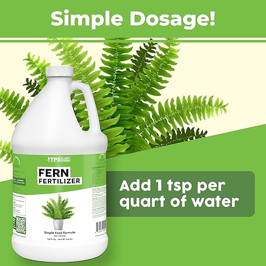 Fern Fertilizer – Liquid Plant Food for Fuller Fronds, Deep Green Color & Lush Growth, 1 Gallon