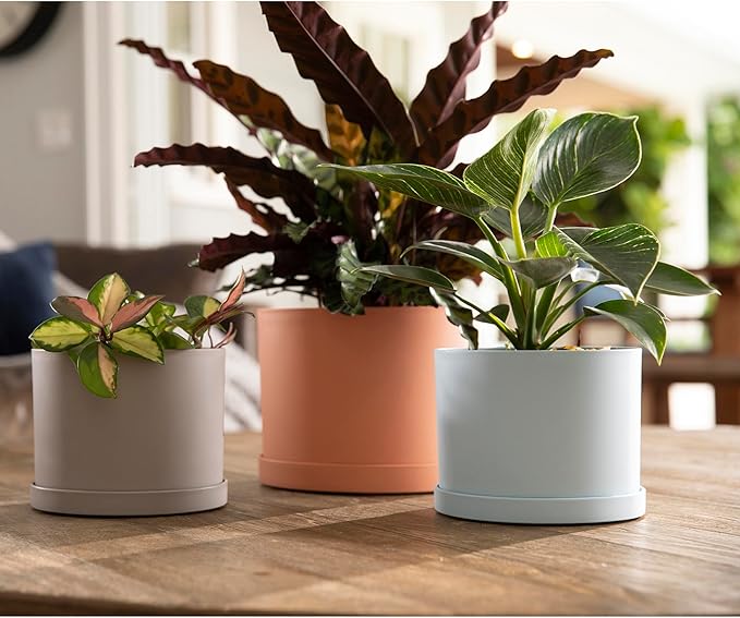 Bloem Mathers 6" Pebble Stone Round Modern Resin Garden Planter Pot with Drainage Holes and Removable Saucer Tray Included