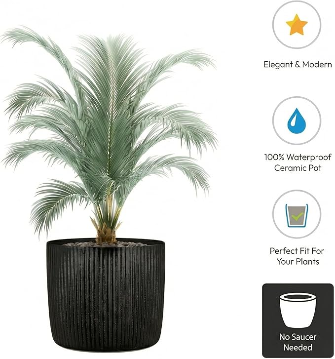 Scheurich Set of 2 Solido Linea Ebano Ceramic Planters – 5.9" Decorative Pots for Indoor Plants - Waterproof&UV-Resistant - Elegant Relief Texture - Made in Germany, Modern Home&Office Decor - 0.5 gl
