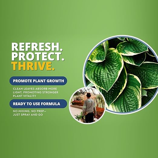 Plant Wash Spray – Neem Oil & Peppermint Oil Formula – Cleans & ConditionsLeaves, Removes Dust & Residue – Indoor & Outdoor Plant Care, Leaf Cleaner for Healthy, Vibrant Foliage Ready to use Spray