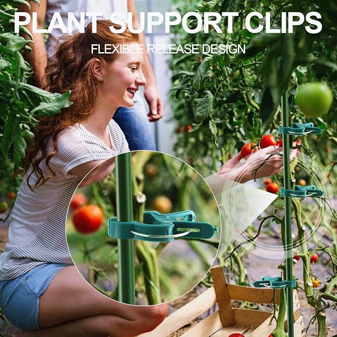 Yinghezu 30 Pcs Large 1-3/4 inch Plant Support Clips,Flower and Vine,Garden Tomato Plant Support Clips for Supporting Stems,Vines Grow Upright Climbing,Tool for Straightening,Tomato Cage,Trellis.