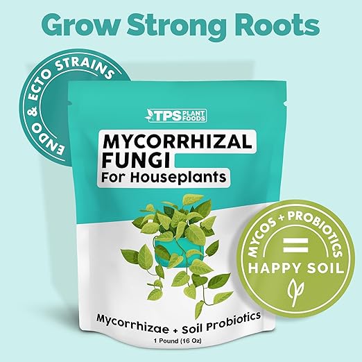Mycorrhizal Fungi for Houseplants – Microbail Supplement for Stronger Roots & Healthier Indoor Growth, 16 oz