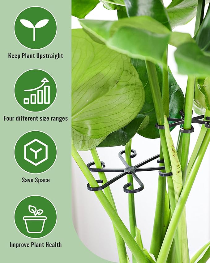 12Pcs Plant Stem Support,4 Sizes Reusable Monstera Plant Support Stakes Durable Plastic Climbing Houseplant Stem Hook Holders for Flower Plants Indoor Outdoor Growth Accessories