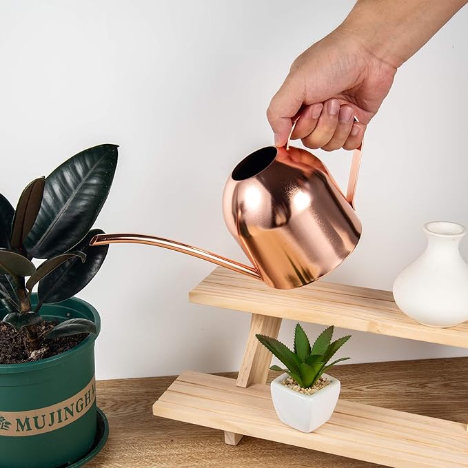 IMEEA Indoor Watering Can for House Plants 33oz/1L Stainless Steel Watering Can with Long Spout for Succulents, Bonsai