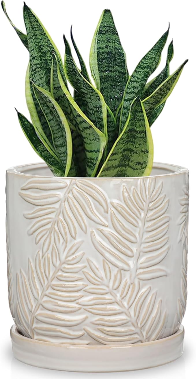 GnFlus 5.5 Inch Ceramic Planter Pots with Drainage Holes, Saucers for Indoor-Outdoor Plants, Succulent Orchid Flower Large Round Plant Pot Lvory White