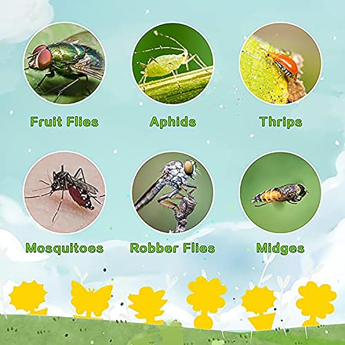 72PCS Fruit Fly Sticky Traps Fungus Gnat Traps Insect Trap for Plants Kitchen Indoor Outdoor White Flies Mosquitos Fungus Gnats Flying Insects Houseplant Gifts