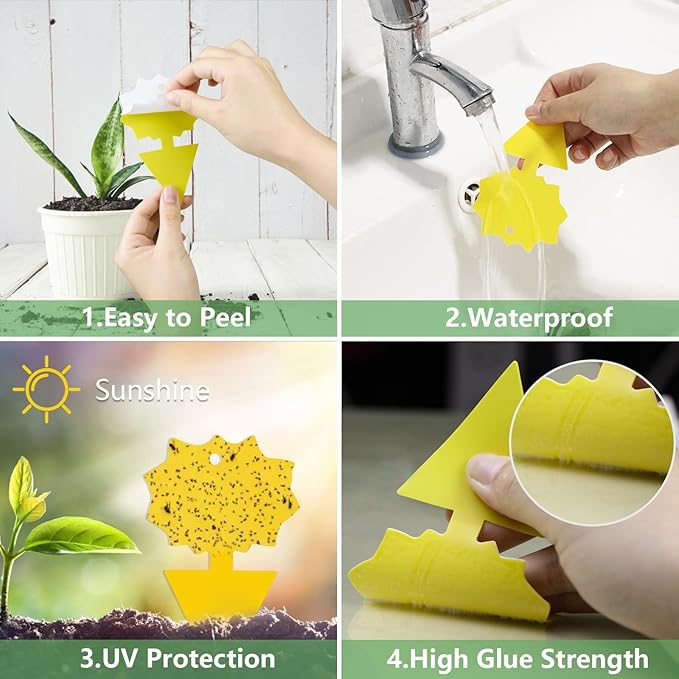 Sticky Traps for Fruit Fly Gnat Mosquito and Bugs | Insert or Pin Anywhere with Butterfly Pins | Indoor & Outdoor Dual-Side Use| Non-Toxic & Odorless | Extremely Sticky (36 Count)