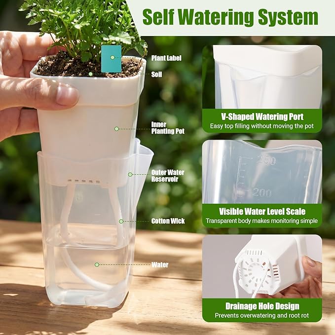 30 Pack 2.5" Small Self Watering Pots for Indoor Plants Clear Mini Self Watering Plant Pot with Water Level, Drainage Holes 30 Plastic Label 3 Planting Tools, Rope for Propagation Succulents