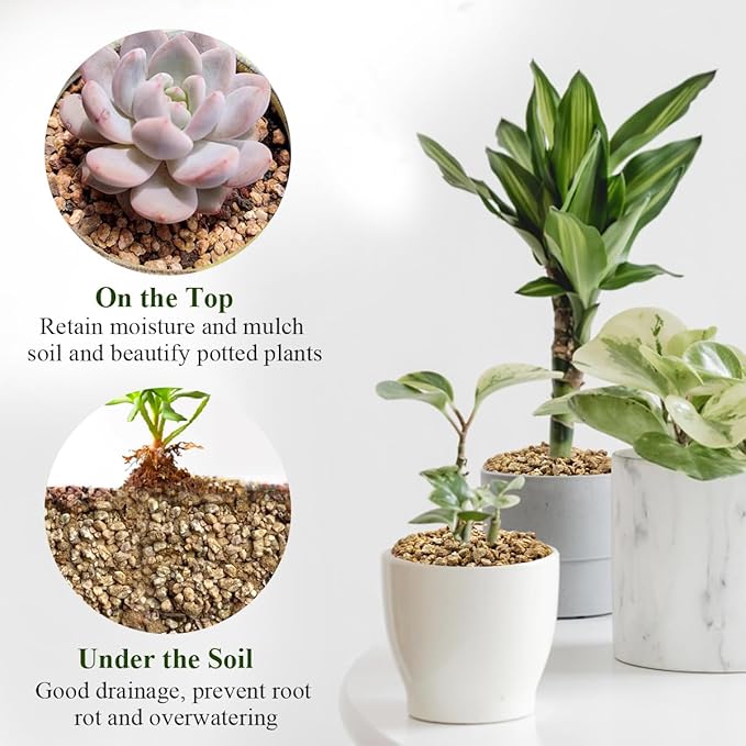 FANTIAN 5 lbs Maifanitum Stones for Succulent,1/4 Inch Decorative Rocks for Indoor Plants, Bonsai, Soil Cover. Small Stones for Promote Soil Root Growth, Water Drainage and Plant Growth(5-8 mm)