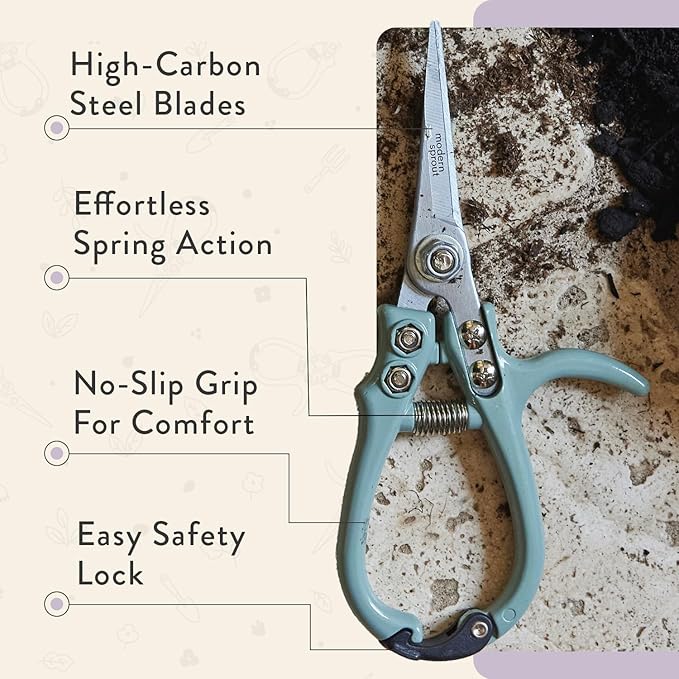 Modern Sprout Pruning Shears - Herb Snipping Scissors- Lightweight Gardening Tools W/Easy Lock - Flower Cutter Garden Shears - Carbon Steel Blade + Reusable Holster (Lavender, 1-Pack)