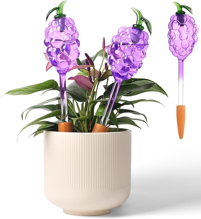 3-Pack Grape-Shaped Plant Watering Globes with Terracotta Stakes, Purple & Green Glass Self-Watering Planter Insert, Automatic Watering Bulbs for Indoor & Outdoor Plants, Refillable via Top Opening