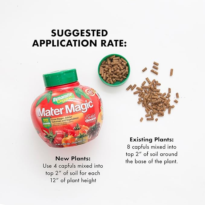 Dynamite Mater Magic - Organic Tomato Fertilizer for Bigger, Juicier Tomatoes and Vegetables, OMRI Listed, Nitrogen and Calcium-Rich Plant Food - .675 Pound Container with Shaker Lid (Pack of 2)