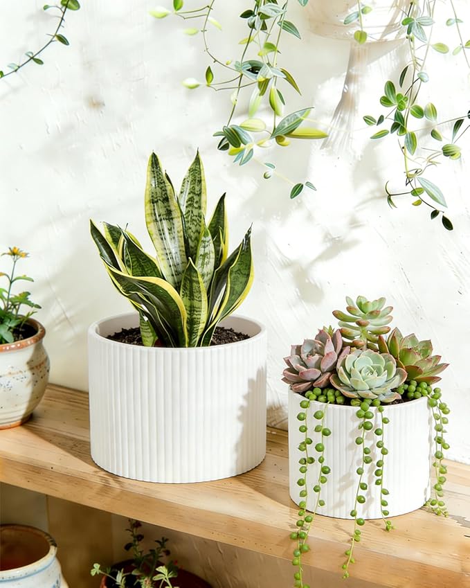 Ceramic Plant Pots, 8.1 + 6 Inch Planters for Indoor Plants, Modern Flower Pots for Plants with Drainage, Medium Cylinder Flower Pots for Indoor Plants, House Plants, Matte White