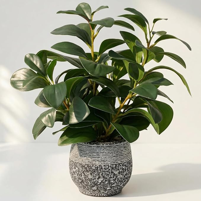 SHOHAYTO Artificial Plants for Home Decor - 13.2 Inch Fake Ficus Tree in Cement Planter, Real Looking Potted Faux Plants for Office Desk, Kitchen Shelf, Bookshelf & Indoor Decor