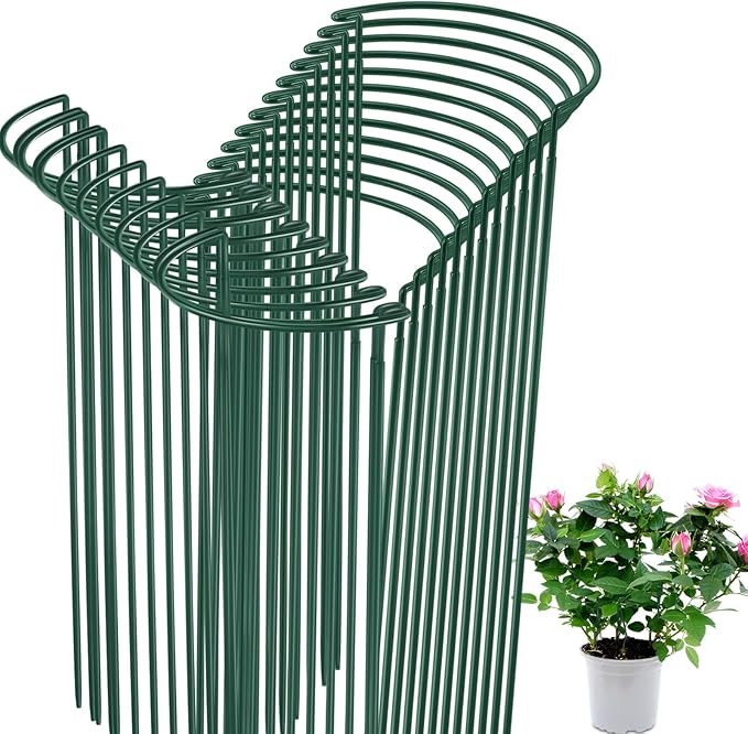Tioncy 24 Pcs 24 H x 10 W Plant Support Stakes Cages for Garden, Metal Half Round Plants Tension Rods for Indoor Outdoor Large Tall Flower Vegetables Tomato Peony Rose Support