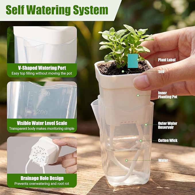 30 Pack 2" Small Self Watering Pots for Indoor Plants Clear Mini Self Watering Plant Pot with Water Level, Drainage Holes 30 Plastic Label 3 Planting Tools, Rope for Propagation Succulents
