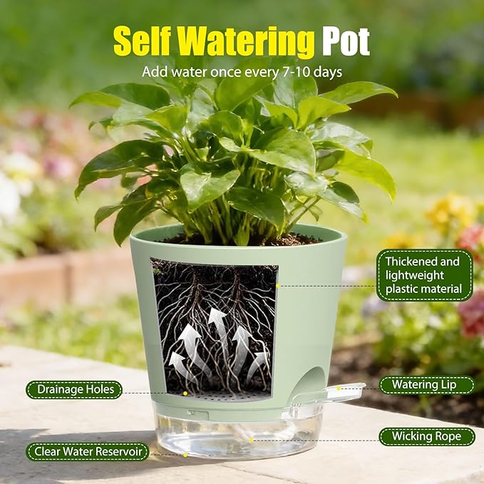 Plant Pots 5 Inch Self Watering Pots,6 Pack Plastic Planters with Drainage Holes and Clear Saucers,Plastic Flower Pots,Nursery Planting Pot for Indoor Out Door Plants (Green)