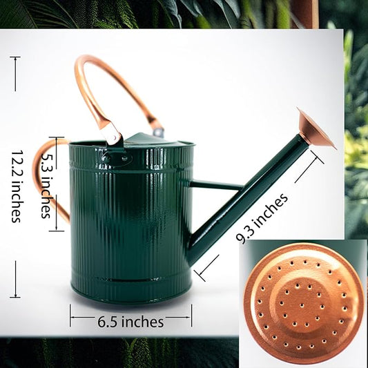 1 Gallon Watering Can, Plant Wate Can, Metal Watering Can with Removable Spout, Galvanized Watering jug, Nice Green Water Can for Indoor and Outdoor use