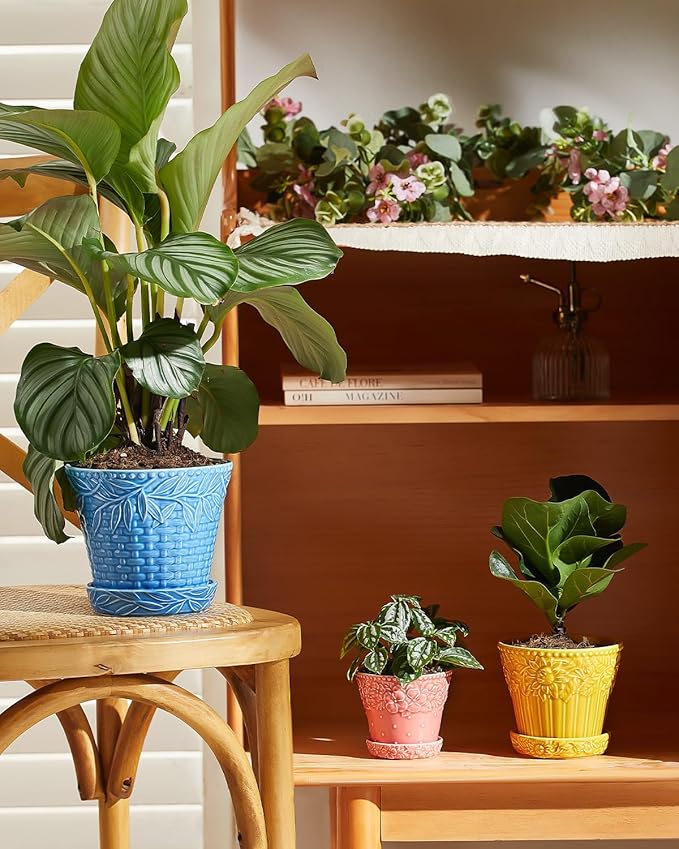Metahom Ceramic Plant Pots, 4.9 Inch Flower Pots with Drainage Hole & Saucer, Colorful Planter Pots for Indoor Plants, Small Pots for Succulent, Catus, Home Decor, Set of 4, Assorted Colors