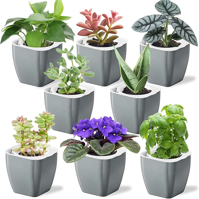 Oliz 8 Pack 4-inch Plant Pots Indoor Garden Decorative Flower pots Small Self-Watering Planters for Small Plants WindowSill Planters for Succulents, African Violets, Herbs(Sliver Black)