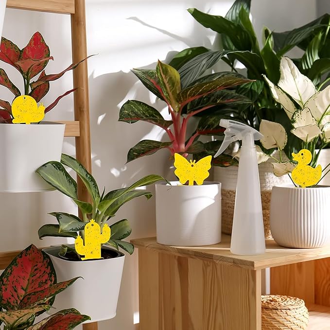 Gideal 24-Pack Dual-Sided Yellow Sticky Traps for Indoor/Outdoor Use, Gnat Trap for Flying Plant Insect Such as Fungus Gnats, Whiteflies, Aphids, Fruit Fly, Leafminers, etc - Cute Shapes