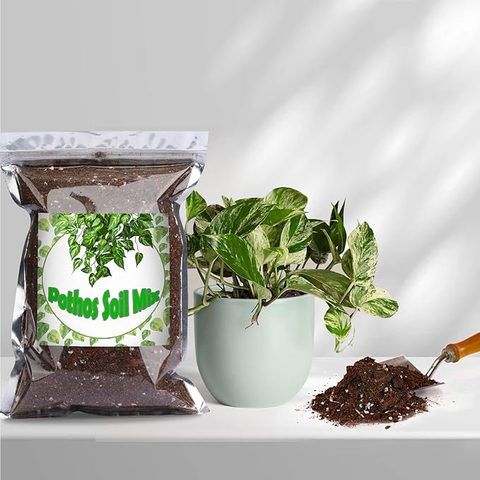 Doter Organic Pothos Soil Mix 10qt, Indoor Plants Potting Mix for All Potted Pothos, Grow Healthy houseplants Indoors