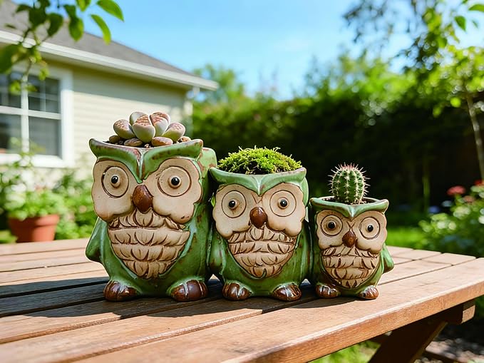 Cute Owl Planter, Small Funny Succulent Pots, Unique Decorative Animal Statue Ceramics Plant Pot for Indoor/Outdoor Home Office with Drainage, Owl Gifts for Women Mother Teacher, Three Owls