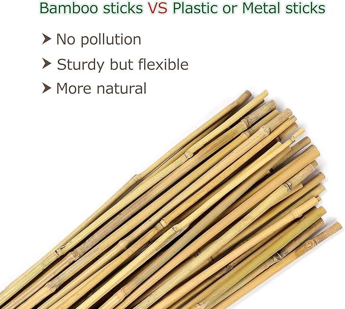 Cambaverd 6ft Bamboo Garden Stakes Eco-Friendly Plant Stakes 6 Feet, Bamboo Poles for Tomatoes Beans Climbing Plants Support - Pack of 20 Bamboo Stakes
