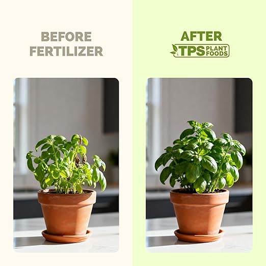 Herb Plant Food – Liquid Fertilizer for All Edible Herbs, Supports Faster Growth, Lush Leaves & Better Flavor, 1 Gallon