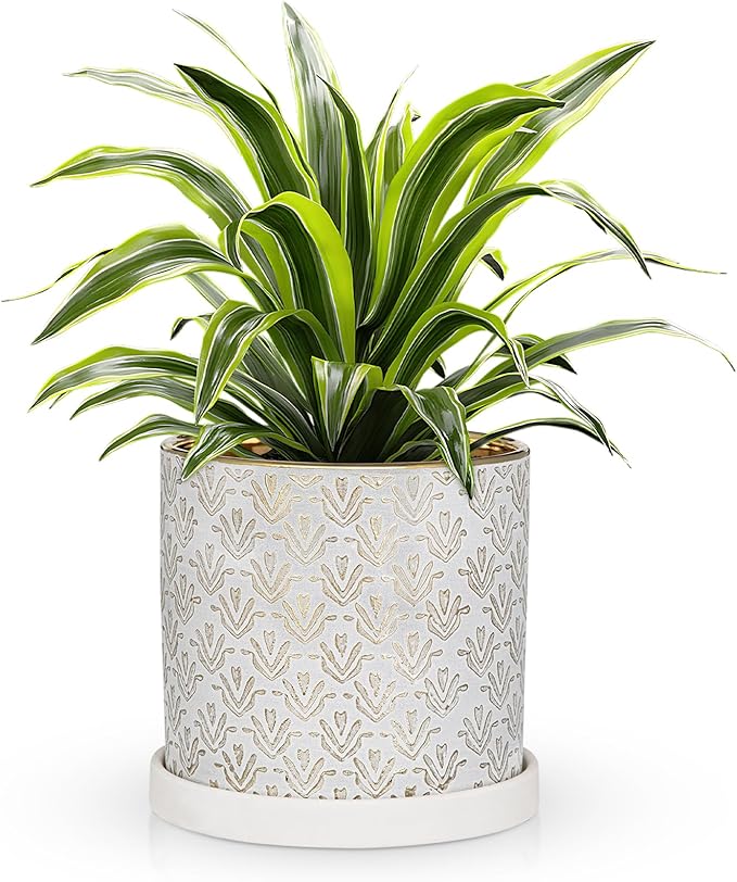 Ceramic Plant Pots with Drainage Hole & Saucer, Gold & White Ceramic Planter Pot for Indoor & Outdoor, 5.5 Inch Small Plant Pots Decorative Flower Pot for Herbs, Cactus, Orchids, Succulents Planters