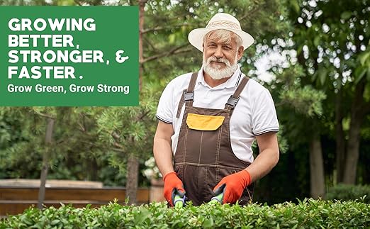Gardenwise 6-6-6 All-Purpose Professional Plant Food Fertilizer; Ideal for Winter Care & Spring Feeding, Perfect Balanced NPK for Indoor and Outdoor Plants (1 Quart)