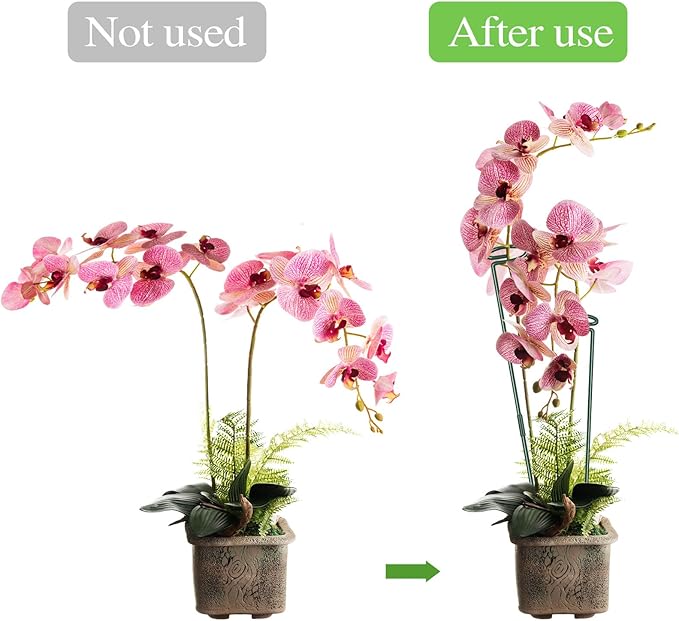 36 Inch Plant Stakes Tall, Three Sizes(12 or 24 or 36 Inch) Plant Support Stakes for Outdoor or Indoor,Garden Plant Stakes for Flowers Amaryllis Tomato Lily Peony Rose Flower Narcissus (4 Set) (8)