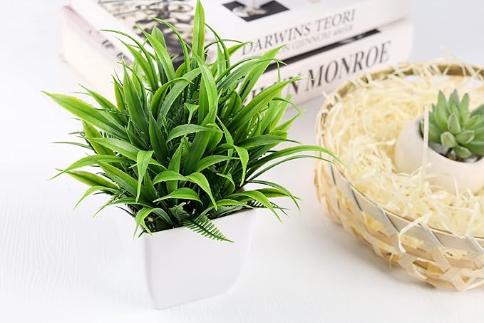 Der Rose 2 Pack Small Fake Plants Mini Artificial Potted Plants for Table Desk Home Bathroom Office Decor
