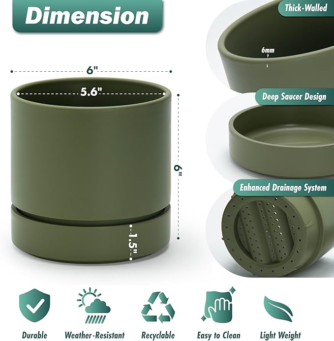 Phoenix Vine 6 Inch Planter Pot with Drainage Hole & Saucer, Deep Water Catch Tray, Straight Cylindrical Round Pot for Plants, Olive, Pack of 3, 23-F-S-3