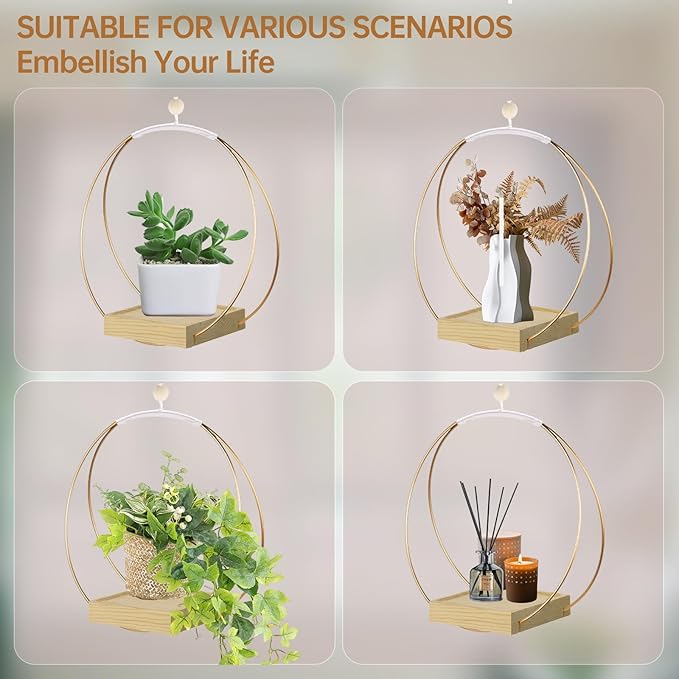 Adnkwolivt Hanging Planters for Indoor Plants - Plant Hanger Outdoor, Metal Plant Hanger Mid Century Boho Macrame, Hanging Wall Ceiling Window, Gift for Mom, Plant Lovers, Housewarming