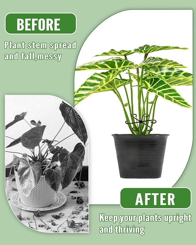 12Pcs Plant Stem Support,4 Sizes Reusable Monstera Plant Support Stakes Durable Plastic Climbing Houseplant Stem Hook Holders for Flower Plants Indoor Outdoor Growth Accessories