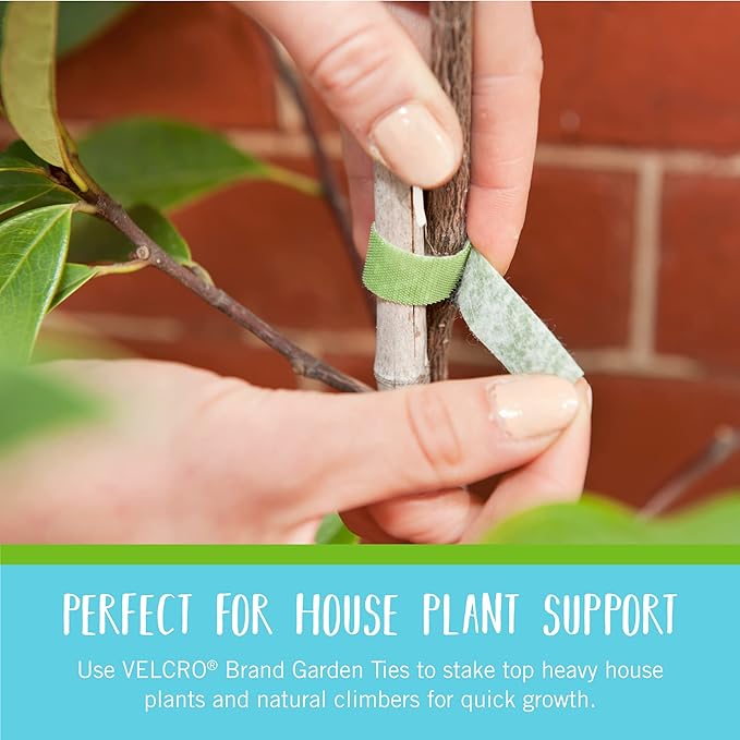 VELCRO Brand Adjustable Plant Ties | 75 ft x 1/2 in Green Garden Tape | Reusable, Cut-to-Length Hook & Loop Plant Support for Staking, Training & Organizing Tomatoes, Vines, and Flowers