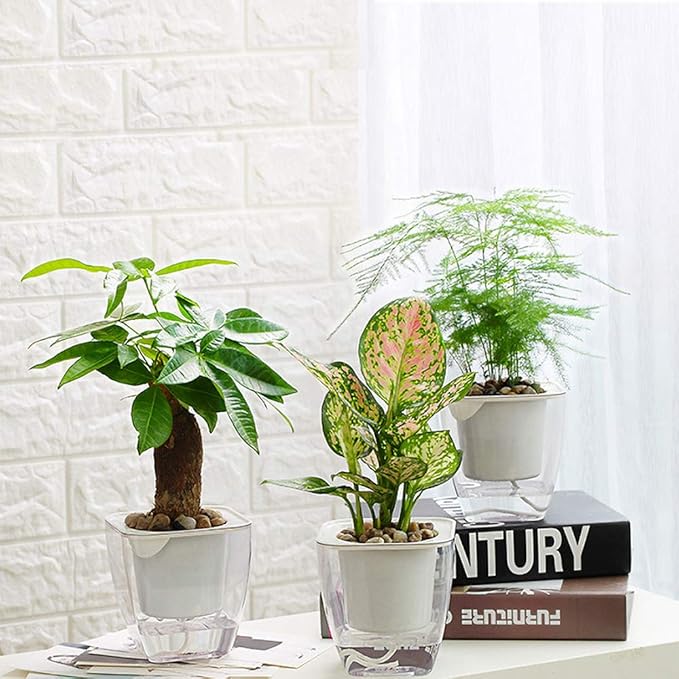 FENGZHITAO Self-Watering Planter, Clear Plastic Automatic-Watering Planter Flower Pot Square-Plant-Pot for All Plants, Succulents, Herb, African Violets, Flowers (Clear L)
