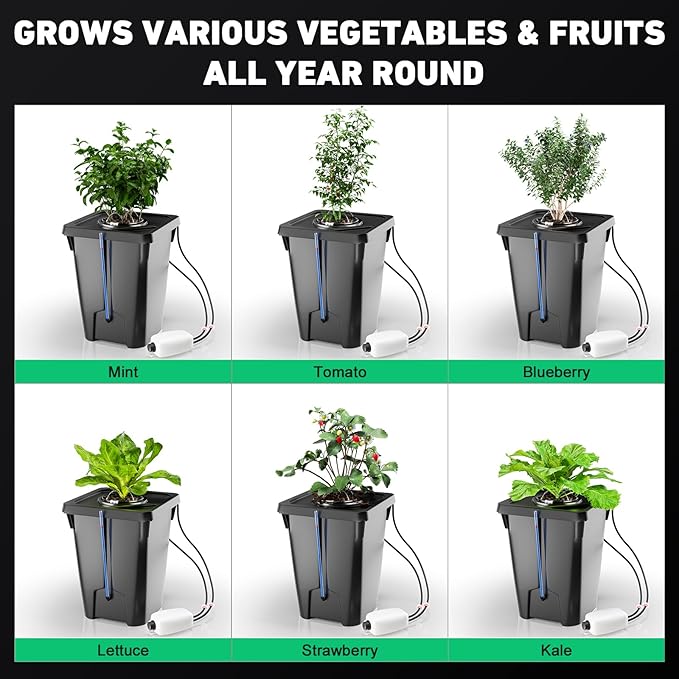 2 Buckets DWC Hydroponics Grow System with Top Drip Kit, 7 Gallon Deep Water Culture with Air Pump, Air Stone, Air Hose, Recirculating Drip Garden System
