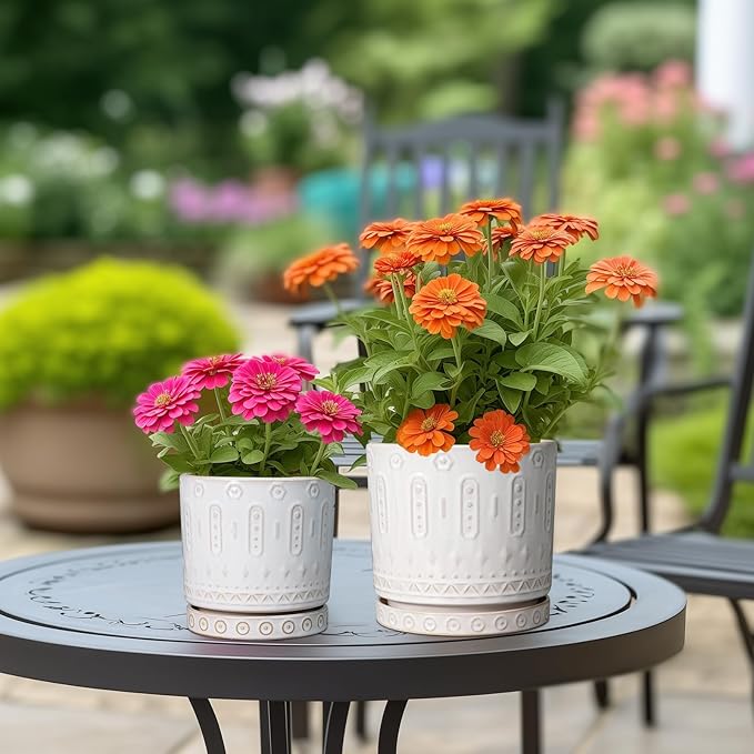 Eightpot Pot for Plants 6 Inch - Ceramic Planter for Indoor Plants Decorative Plant Pot with Drainage Holes and Saucer Outdoor Flower Pot Modern Succulent Pots for Office Desk Decor White