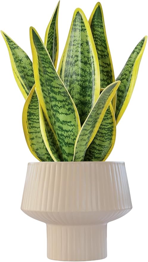 Wide Top Modern Handmade Metal Indoor Planter with Unique Shape, Vertical Grooved Design and Anti-Scratch Pads, Rust-Resistant Finish that is Sustainable Non-Plastic Pot Recyclable Metal Vase (White)
