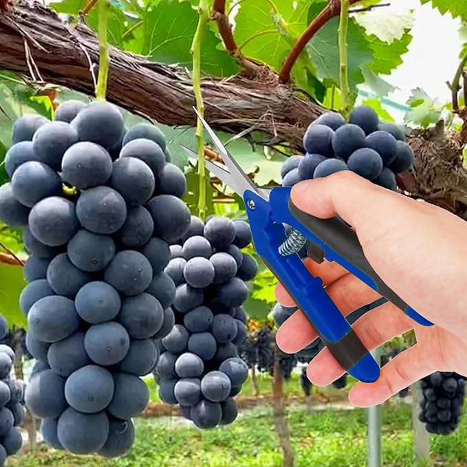15 Pack 6.5 Inch Garden Pruning Scissors, Hand Pruner with Stainless Steel Blades, Sharp Point Gardening Shears Cutter, Gardening Pruning Shear, Supplies & Accessories(Blue)