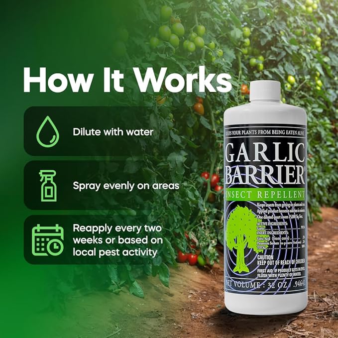 Liquid Garlic Insect Repellent Concentrate, 32 fl oz (2 Pack) – OMRI Listed Garlic-Based Formula for Farms, Crops, Gardens & Greenhouses – Indoor & Outdoor Plant Protection