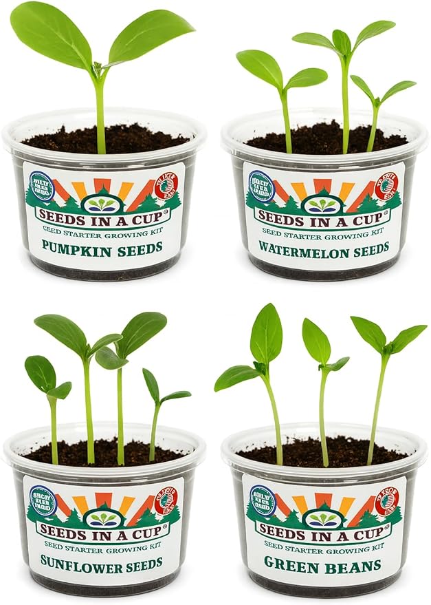 Easy Herb Grow Kit, Indoor Herbs Garden Seed Starter with Premium Seeds and Soil, Great Gift for Mom Dad Him Her Kids and You, Healthy Gift Idea Aromatic Trio: Basil Parsley Dill | Seeds In A Cup