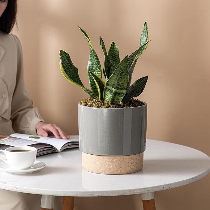 Self Watering Ceramic Planter: 8 Inch Plant Pot with Drainage Hole & Water Storage Plus for Outdoor & Indoor Plants, Succulents, Herbs - Flower Pot for Home or Office Decor - Dark Grey
