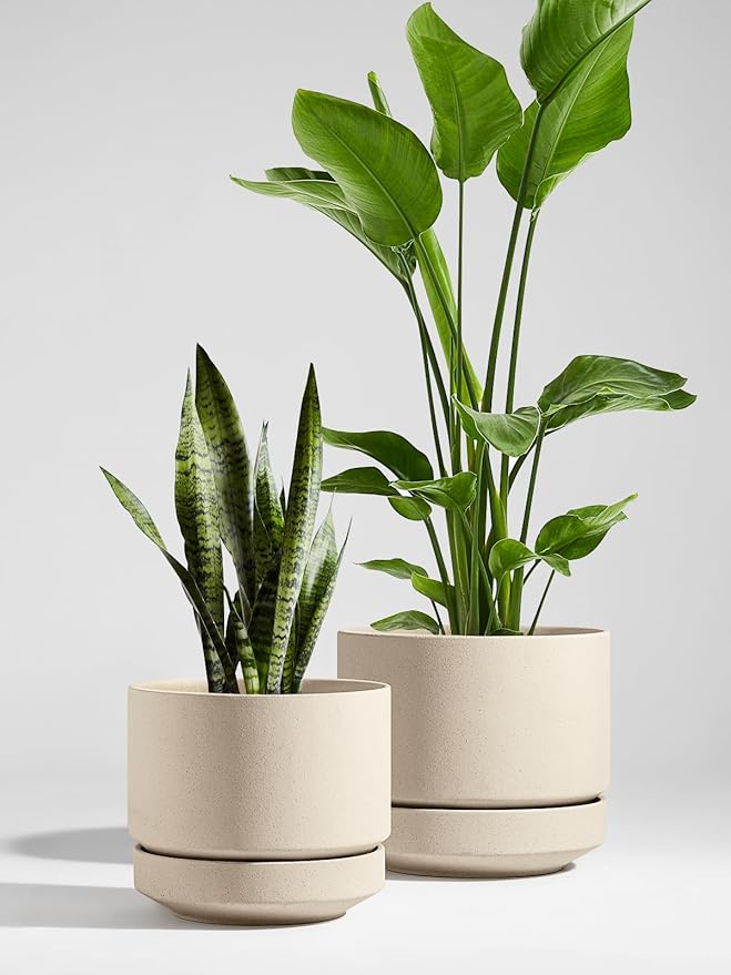 LE TAUCI 12 Inch Pots for Plants with Saucer, Ceramic Indoor Planter Pot for Plants with Drainage Hole, Mesh Pad Included, Unglazed Porous Ceramic, Modern for Home and Office, Speckled Oat