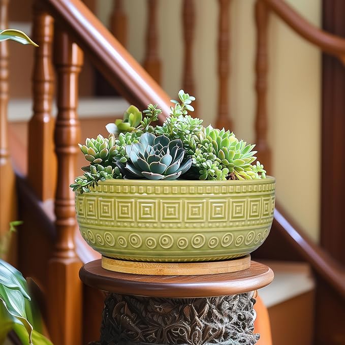 G EPGardening Bonsai Tree Pot - 8 Inch Ceramic Planter for Indoor Plants Flower, Shallow Round Succulent Bowl with Drainage and Saucer, Boho Office Decor, Gifts for Plant Lovers, Green