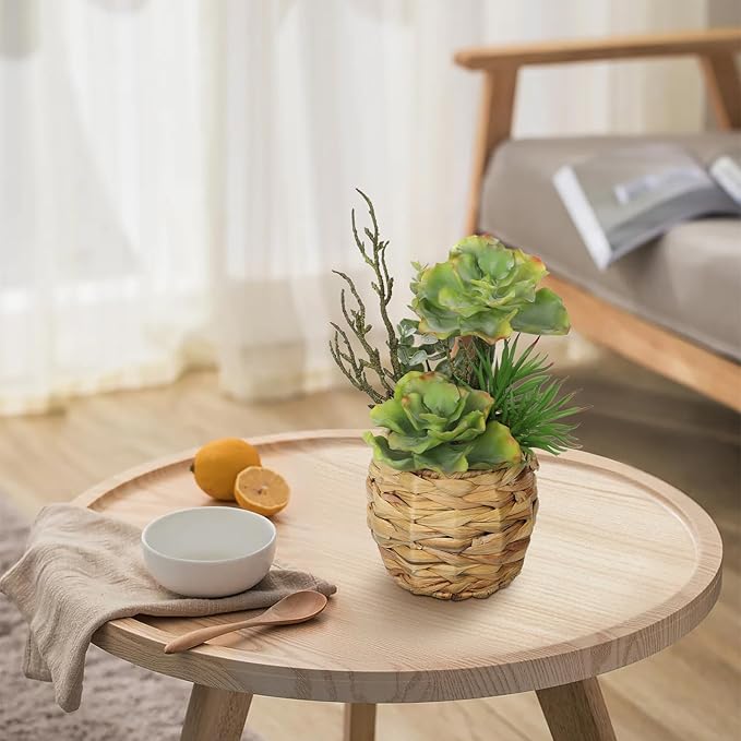 Villa Como 10" Large Succulents Plants Artificial in Wooden Pots, Potted Faux Succulent Arrangement with Woven Pots, Fake Desk Succulents Plants for Home Bathroom Shelf Table Indoor Decor