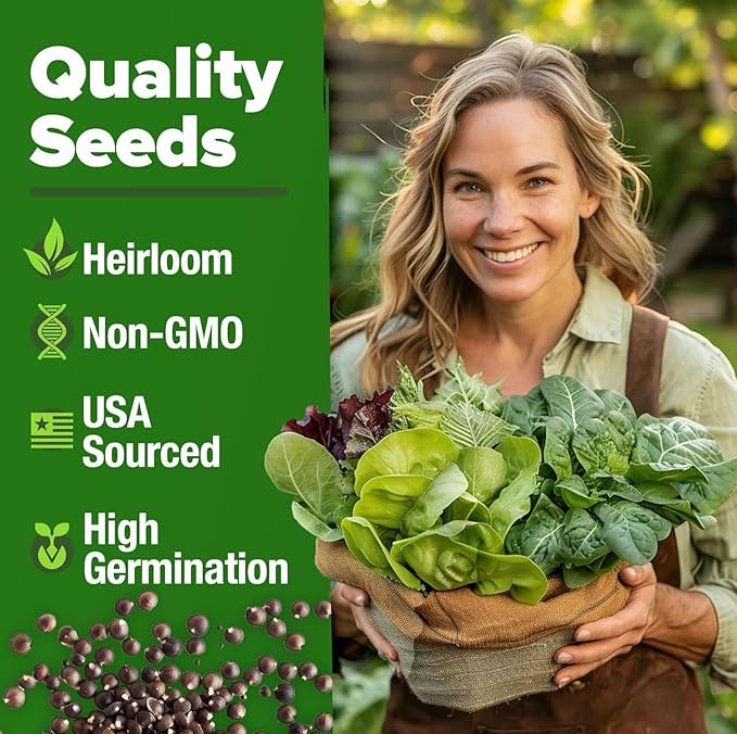 HOME GROWN 20 Variety Lettuce Seeds 21,700+ Bulk Pack Heirloom Non-GMO High Germination, Romaine, Butterhead, Spinach, Kale, Iceberg, Continuous Harvest Indoor Outdoor Hydroponic Garden (20 Varieties)
