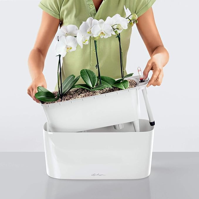 Lechuza Delta 20 Cream White High Gloss, Self-Watering Planter Indoor, H7.1 L15.7 W5.9 in